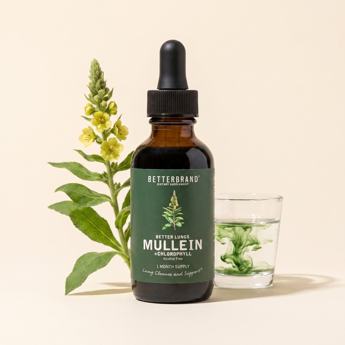A BetterBrand Better Lungs Mullein and Chlorophyll dropper bottle on a clean cream backdrop beside a glass of water with a green chlorophyll swirl and a sprig of mullein.
